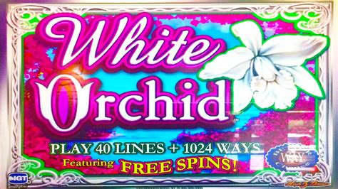 white orchid free slots|white orchid slots youtube.